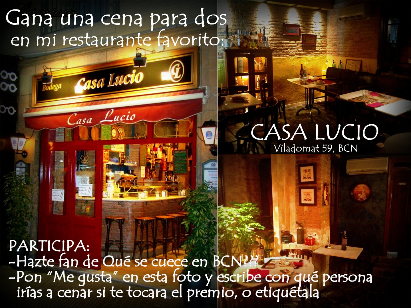 concurso casa lucio qué se cuece en bcn marta casals