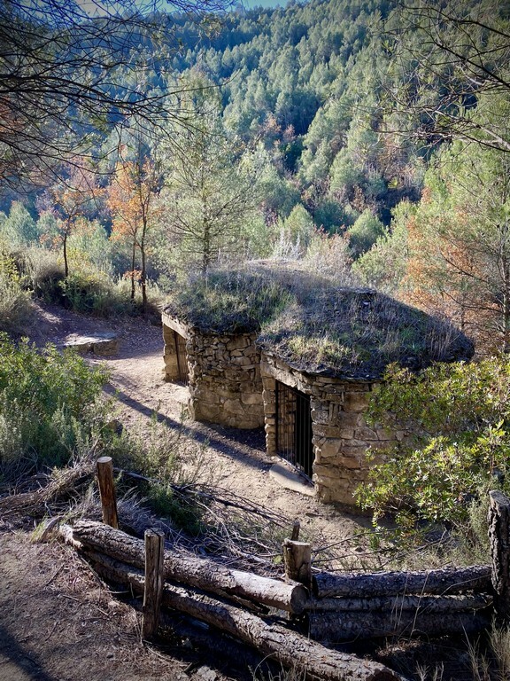 RUTA DE LOS VINOS DE LA D.O. PLA DE BAGES