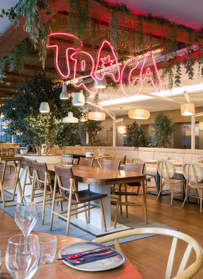 TRACA: EL RESTAURANTE JUNTO A PLAZA CATALUÑA QUE DEBERÍAS CONOCER